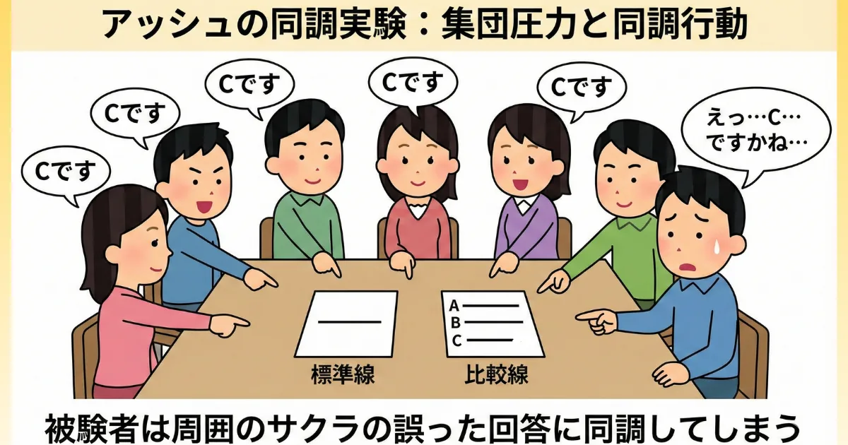 同調実験のわかりやすい図