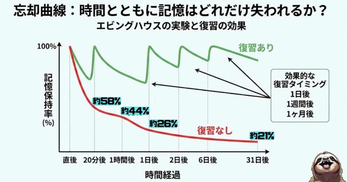忘却曲線のわかりやすい図