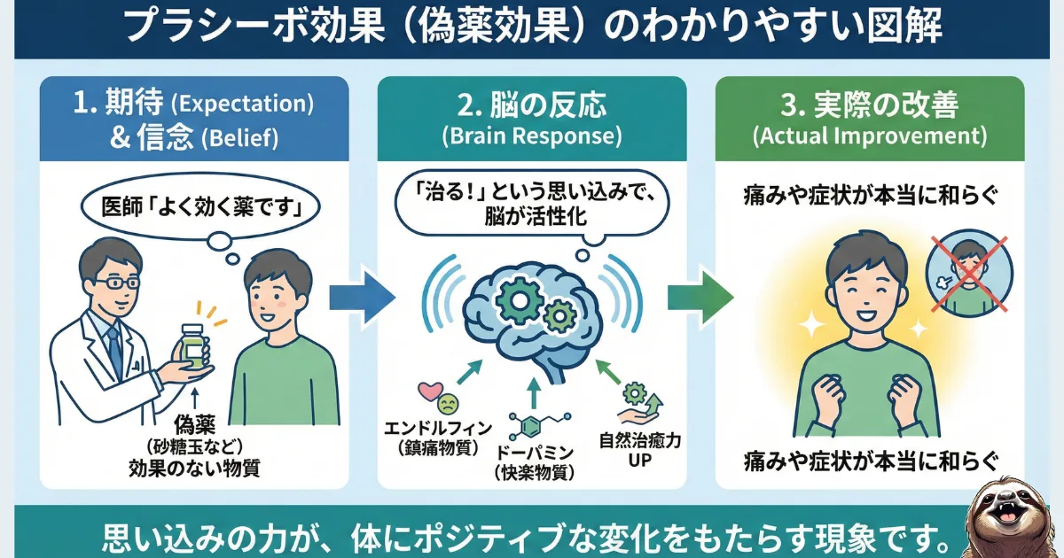 プラシーボ効果のわかりやすい図
