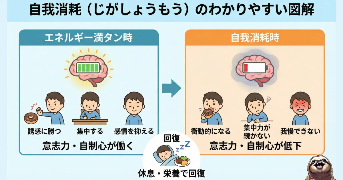 自我消耗のわかりやすい図