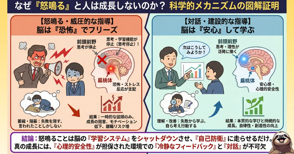 【図解】怒鳴る指導が人を成長させない科学的理由:恐怖を感じると脳の扁桃体が暴走し、思考や学習を司る前頭前野が停止(思考停止)するメカニズム。心理的安全性が確保された対話こそが脳を活性化させる