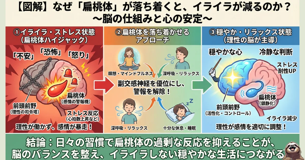 【脳科学図解】扁桃体(へんとうたい)とイライラのメカニズム:ストレスで感情が暴走する「扁桃体ハイジャック」の状態(左)と、瞑想により前頭前野(理性)がコントロールを取り戻した状態(右)の比較