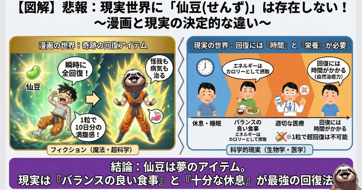 【図解】現実に「仙豆」は存在しない:漫画の「一瞬で全回復」と、現実の「時間と栄養が必要な回復」の違いを比較したイラスト。疲労困憊の時に魔法を求めず、食事と睡眠を優先すべき科学的根拠