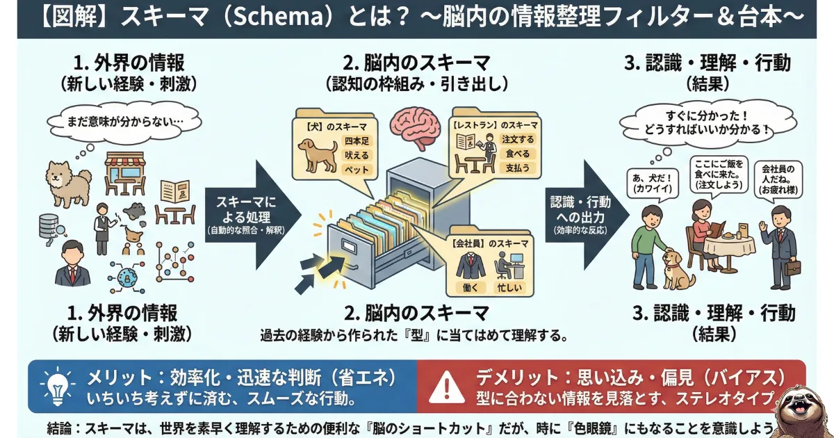 【図解】心理学における「スキーマ（Schema）」とは：脳内の情報整理フィルター＆台本の解説。外界の情報を過去の経験（ファイル）に当てはめて素早く処理する「脳のショートカット」機能と、それが生む「思い込み（バイアス）」の仕組み