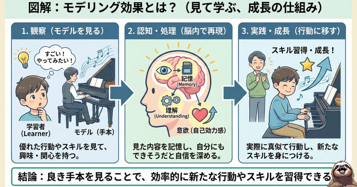 【図解】モデリング効果(観察学習)のメカニズム:1.観察(モデルを見る)、2.認知・処理(脳内で記憶・理解)、3.実践・成長(行動に移す)という3ステップで、他人の行動を模倣し効率的にスキルを習得する心理学の仕組み