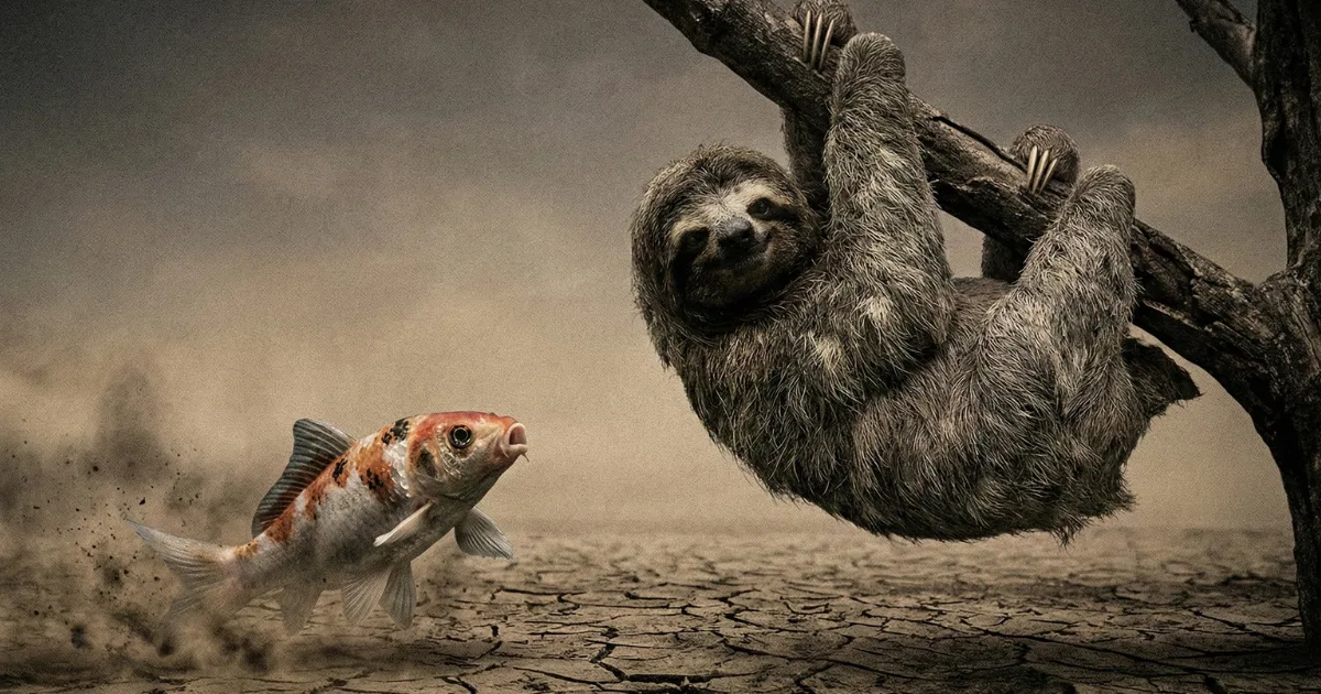 【適材適所のメタファー】乾燥した大地で必死に泳ごうとする魚と、それを見つめるナマケモノ：自分に合わない環境（陸）でどれだけ努力しても成果が出ない苦しさと、自分の場所（水）を見つけることの重要性を描いた風刺イラスト